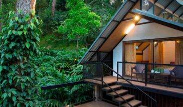Tree-House-Houseboat-Tour-Packages
