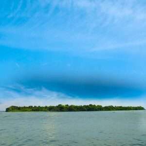 Pathiramanal Island Is A Small And Picturesque Island Located In The Backwaters Of Kerala