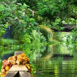 The Alleppey Backwaters, Also Known As The Venice Of The East, Are A Network Of Lagoons, Lakes