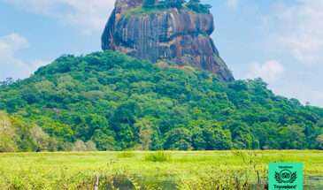 Sigiriya Rock, also known as Lion Rock, is an ancient rock fortress located in the central Matale District of Sri Lanka