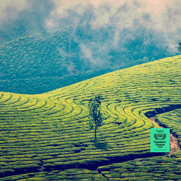 Munnar is a breathtaking hill station nestled in the Western Ghats mountain range of Kerala, India. Renowned for its sprawling tea plantations, misty mountains, and lush greenery, Munnar is a paradise for nature lovers and adventure enthusiasts alike.