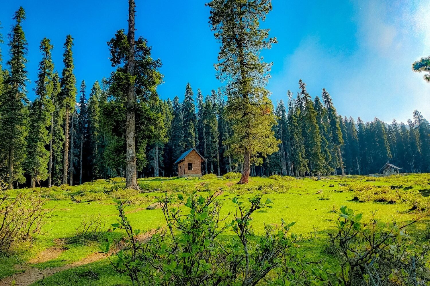 kashmir 1