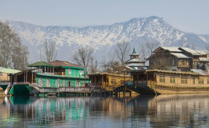 kashmir 6