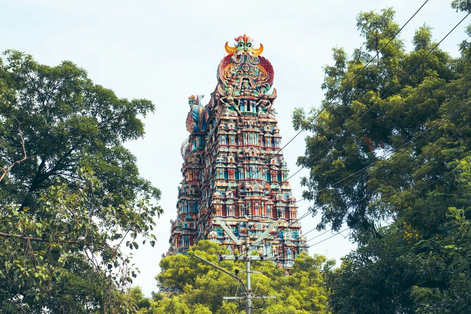 south india trips