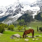 kashmir tours