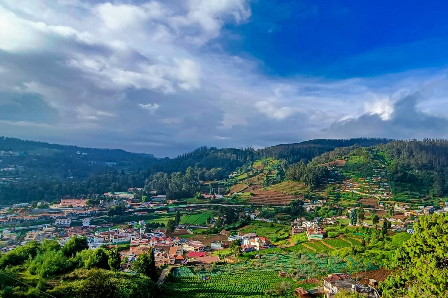 ooty 1