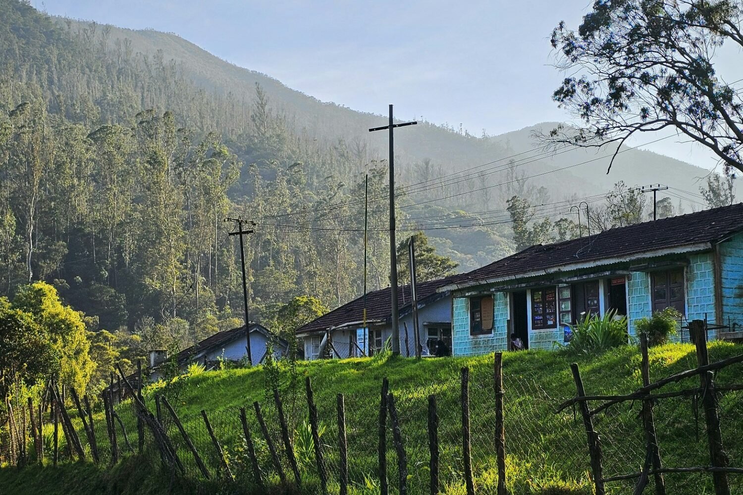ooty 2