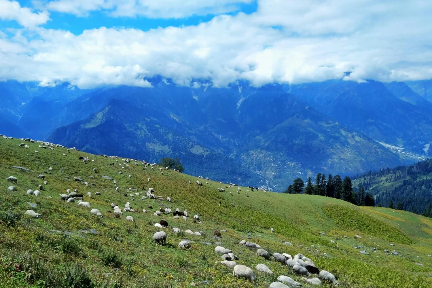 kullu manali volvo tour 6 day travel packages