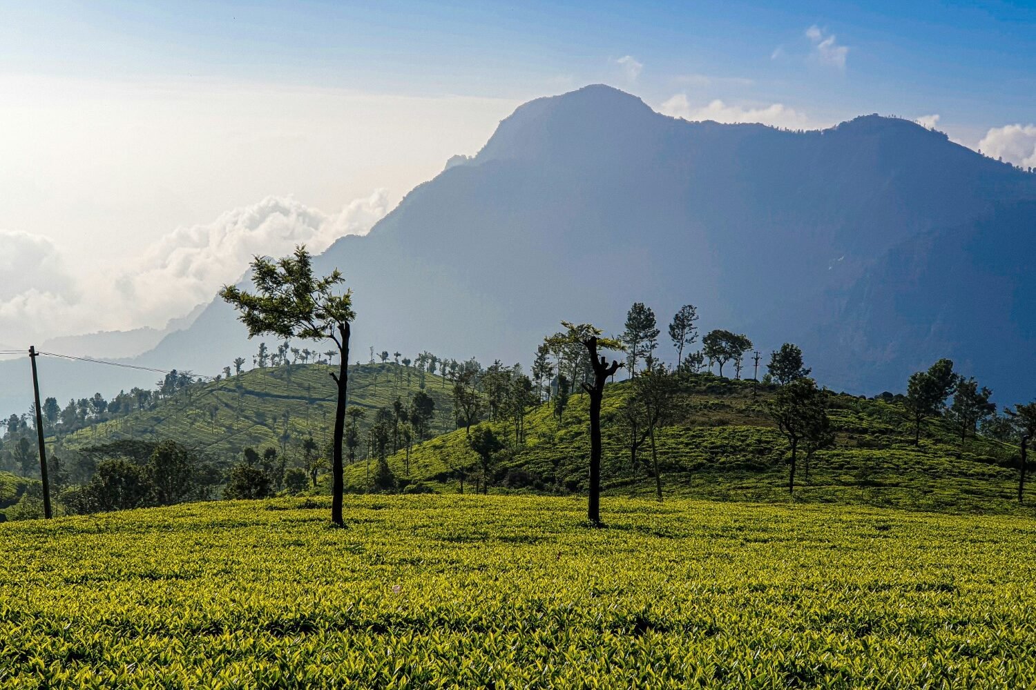 serene south 10 nights 11 days
