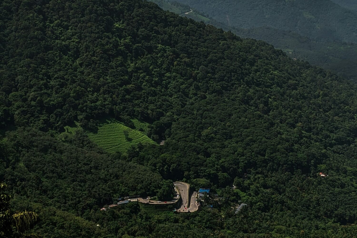 wayanad