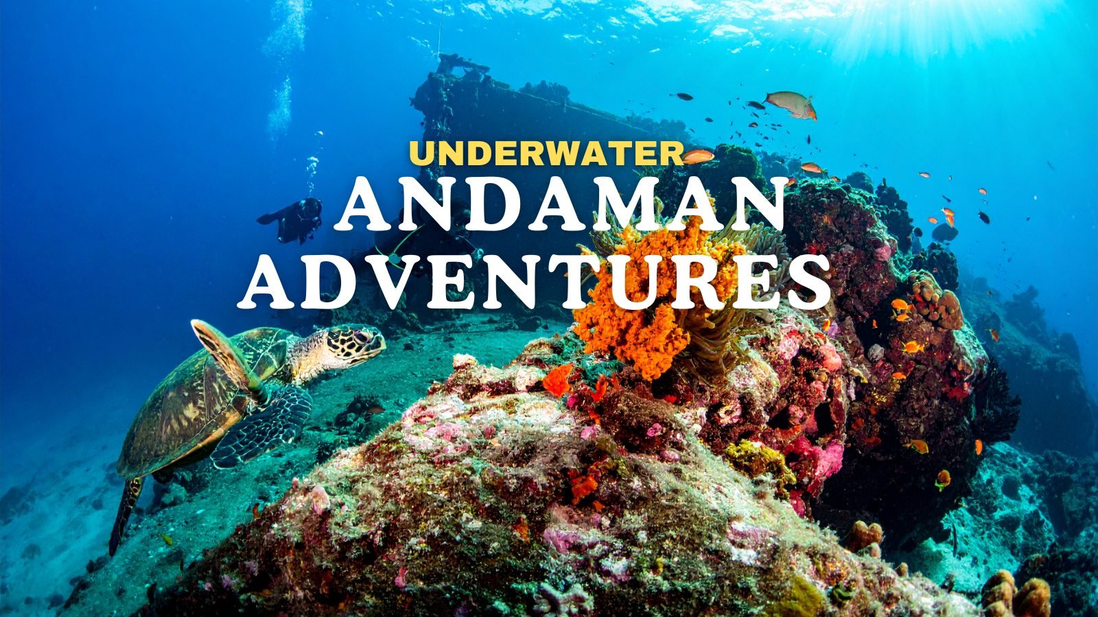 Underwater Andaman Adventures