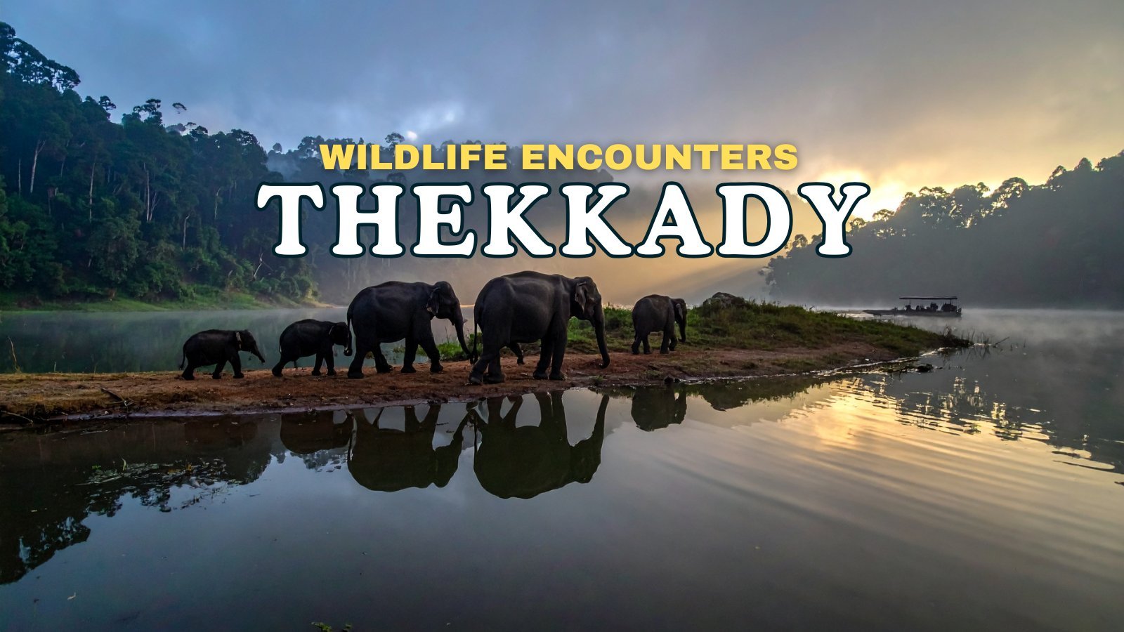 Wildlife Encounter Thekkady